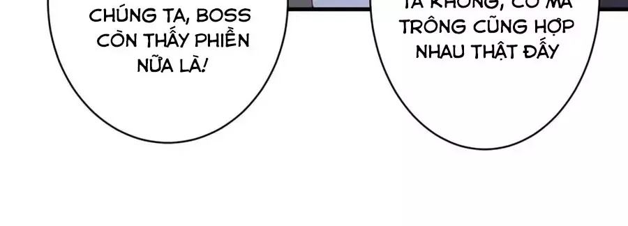 Băng Sơn Tổng Tài Sủng Thê Đến Vô Đạo Chapter 39 - Trang 2