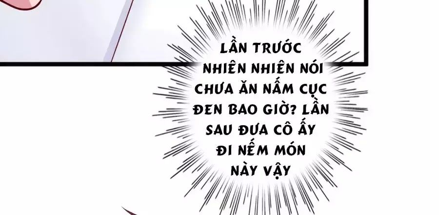 Băng Sơn Tổng Tài Sủng Thê Đến Vô Đạo Chapter 40 - Trang 2