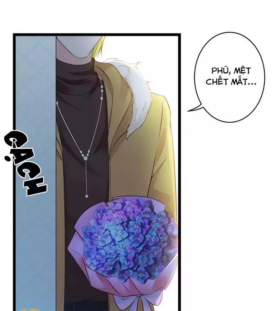 Băng Sơn Tổng Tài Sủng Thê Đến Vô Đạo Chapter 40 - Trang 2