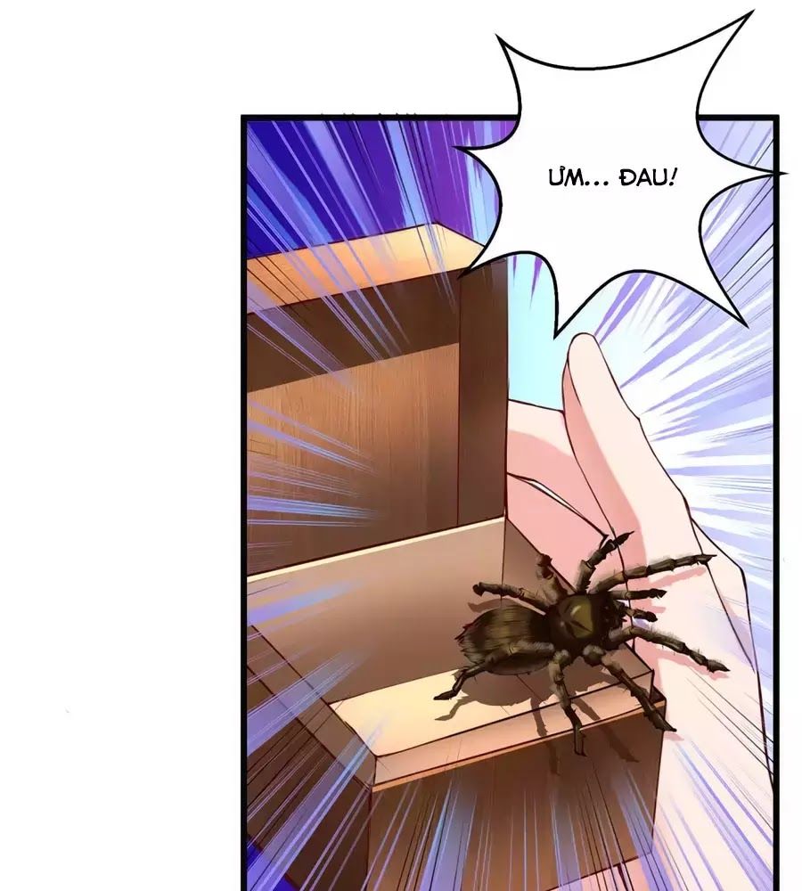 Băng Sơn Tổng Tài Sủng Thê Đến Vô Đạo Chapter 40 - Trang 2