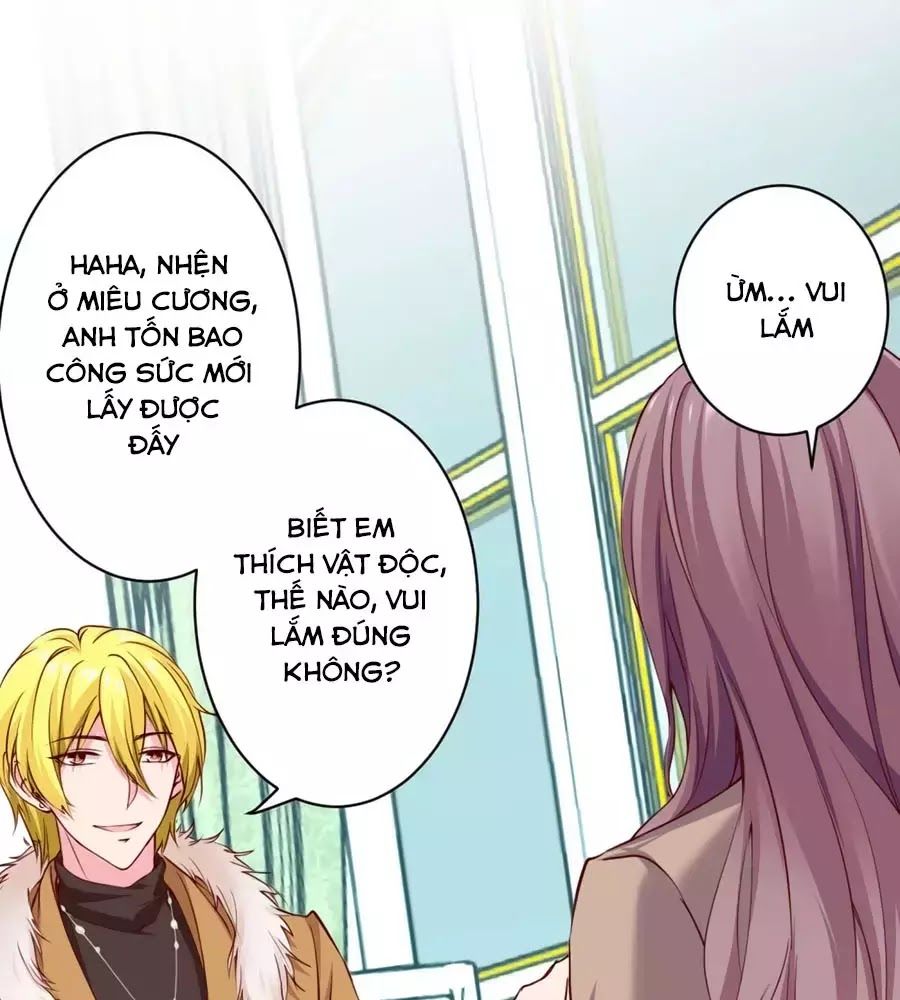 Băng Sơn Tổng Tài Sủng Thê Đến Vô Đạo Chapter 40 - Trang 2