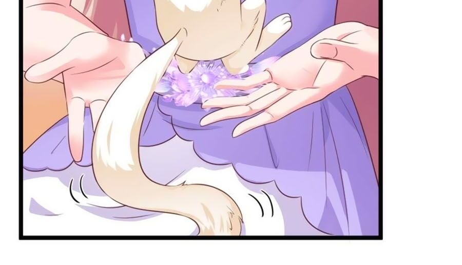 Băng Sơn Tổng Tài Sủng Thê Đến Vô Đạo Chapter 46 - Trang 2