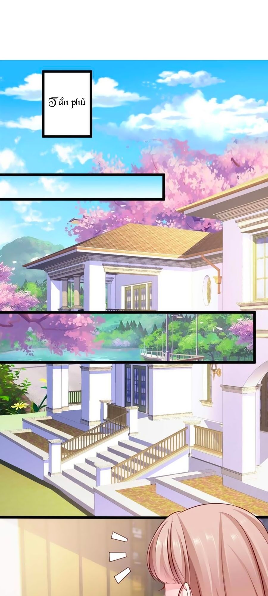 Băng Sơn Tổng Tài Sủng Thê Đến Vô Đạo Chapter 47 - Trang 2