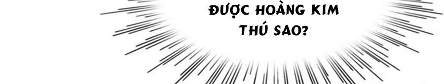 Băng Sơn Tổng Tài Sủng Thê Đến Vô Đạo Chapter 50 - Trang 2