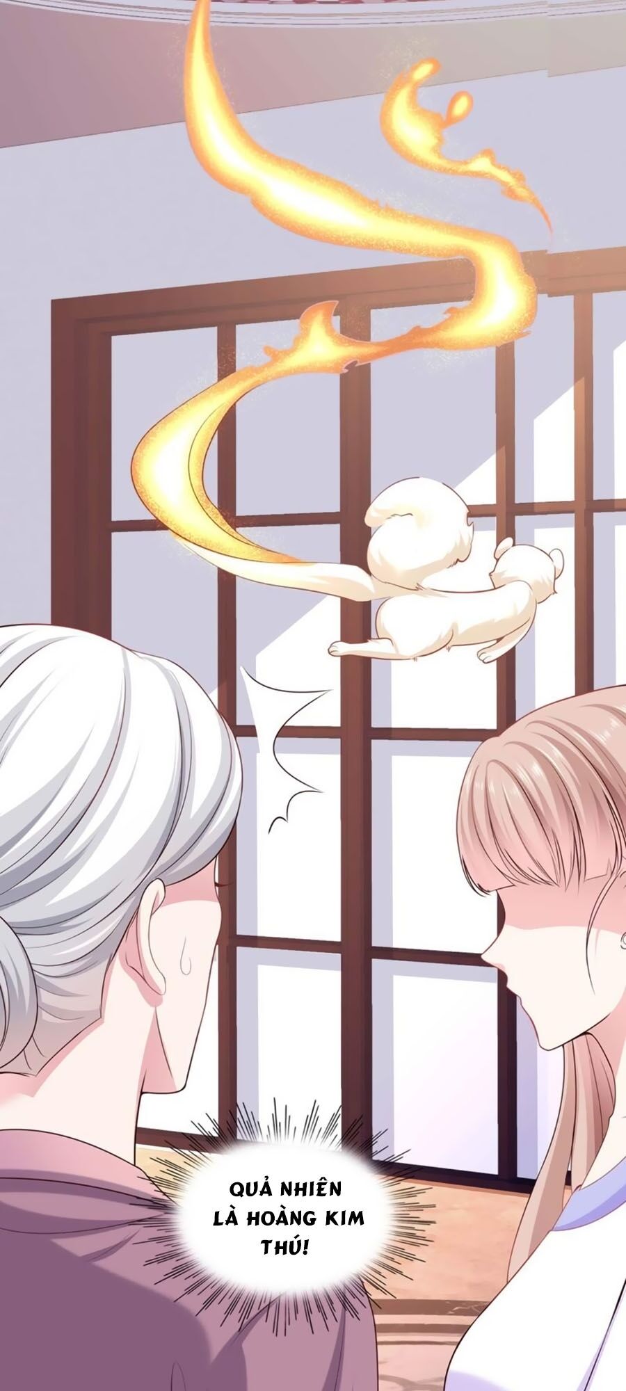 Băng Sơn Tổng Tài Sủng Thê Đến Vô Đạo Chapter 50 - Trang 2