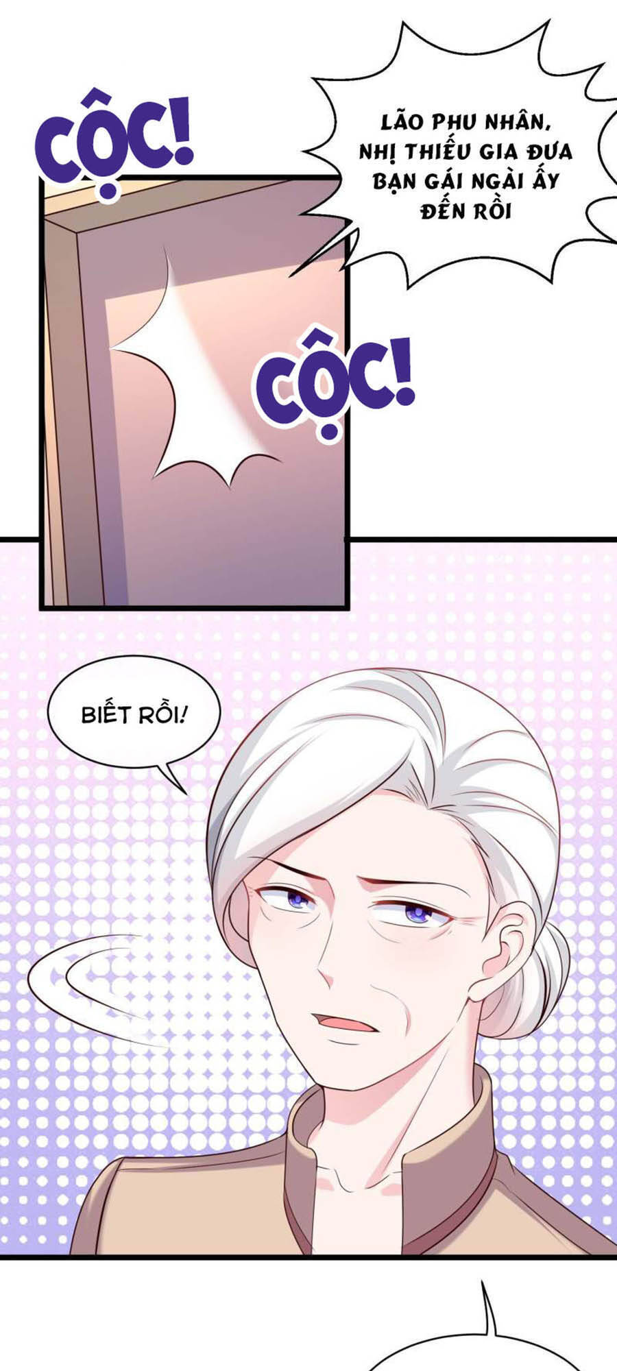 Băng Sơn Tổng Tài Sủng Thê Đến Vô Đạo Chapter 51 - Trang 2