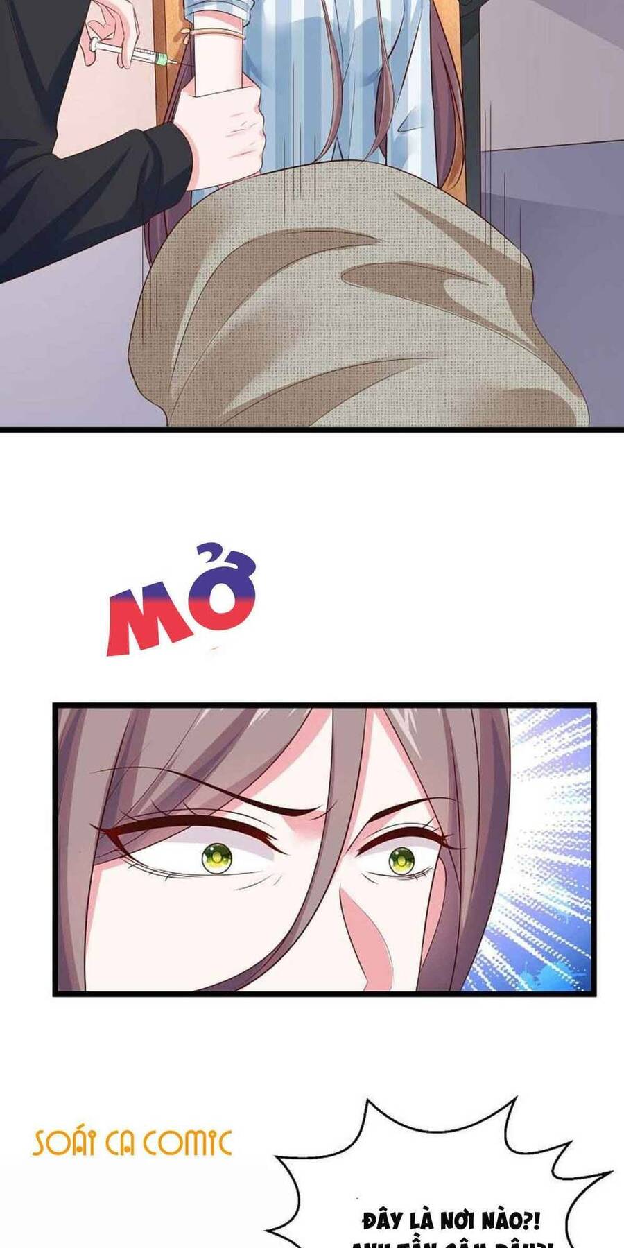 Băng Sơn Tổng Tài Sủng Thê Đến Vô Đạo Chapter 66 - Trang 2