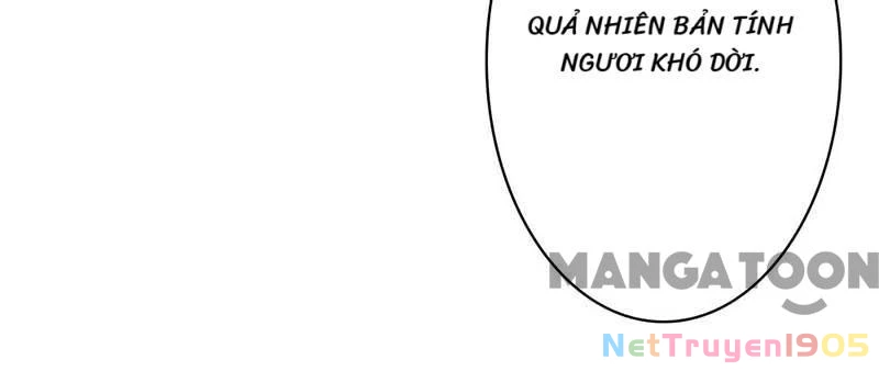 Bảo Bối Em Thật Ngọt Ngào Chapter 21 - Trang 2