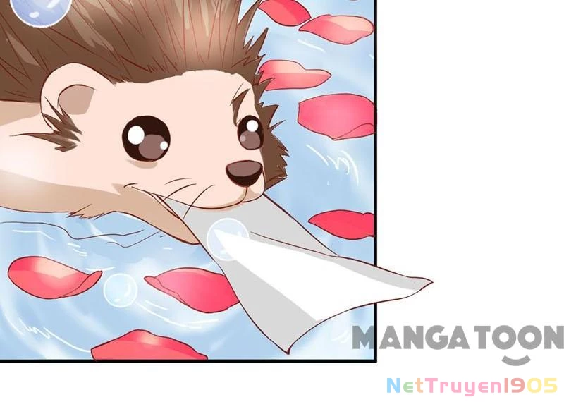 Bảo Bối Em Thật Ngọt Ngào Chapter 33 - Trang 2
