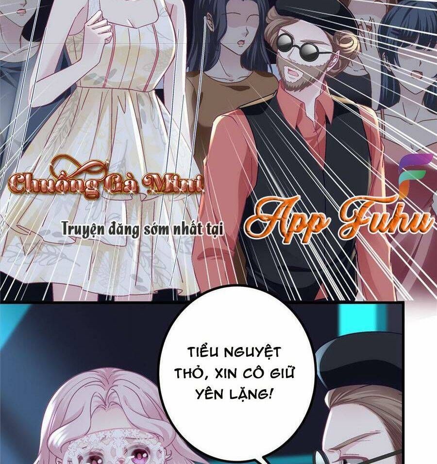 Bảo Bối Tâm Gan Của Lão Đại Xuyên Không Trở Lại Rồi Chapter 119 - Trang 2