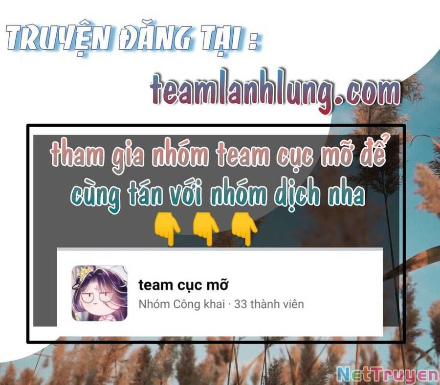 Bảo Bối Tâm Gan Của Lão Đại Xuyên Không Trở Lại Rồi Chapter 151 - Trang 2