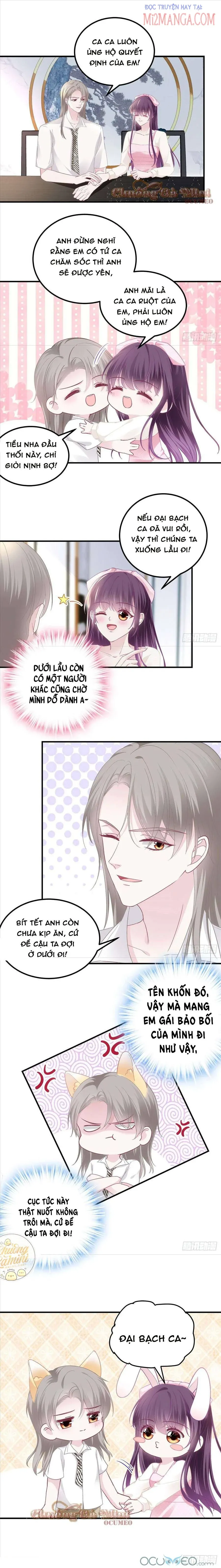 Bảo Bối Tâm Gan Của Lão Đại Xuyên Không Trở Lại Rồi Chapter 39 - Trang 2