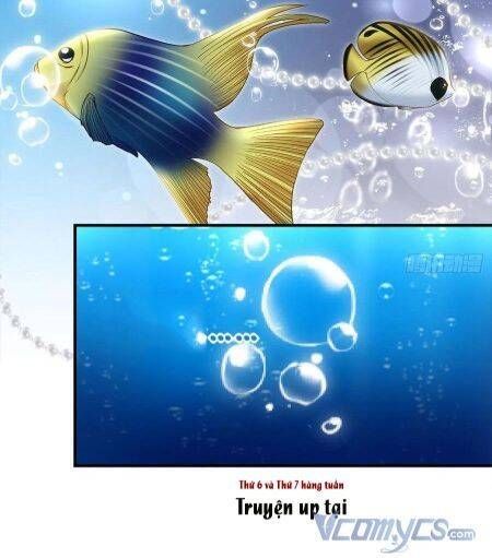 Bảo Bối Tâm Gan Của Lão Đại Xuyên Không Trở Lại Rồi Chapter 63 - Trang 2