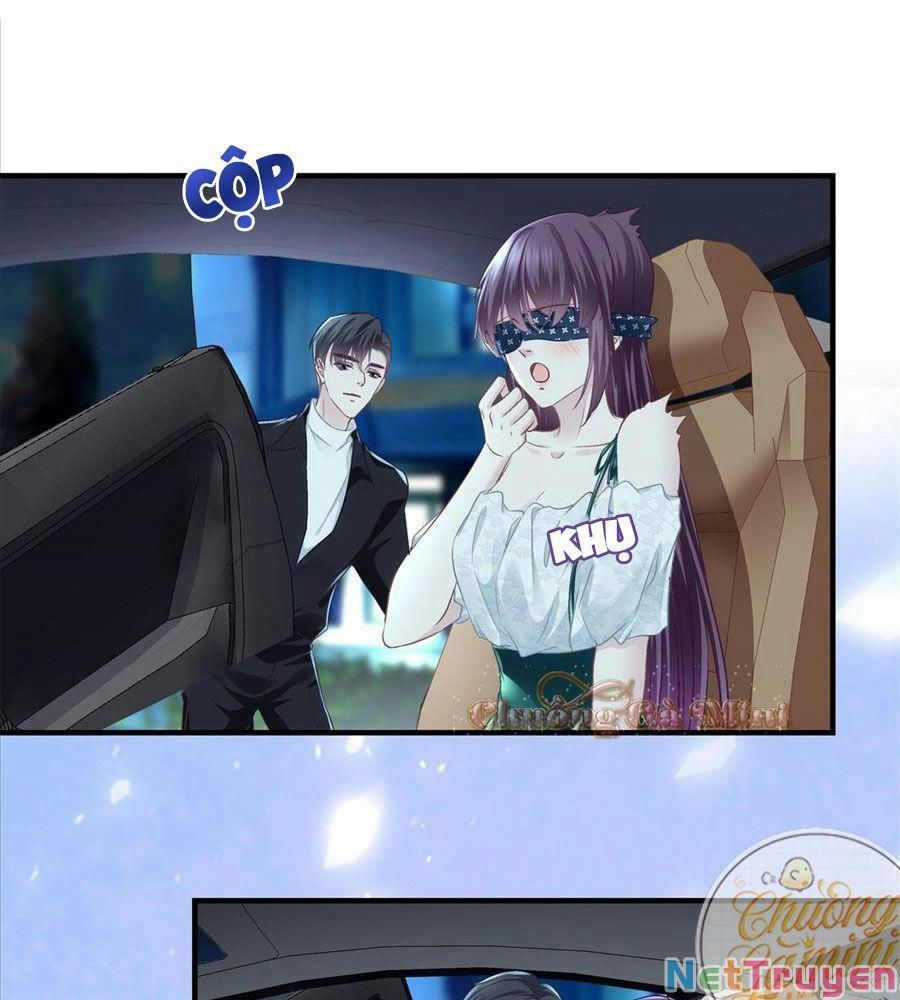 Bảo Bối Tâm Gan Của Lão Đại Xuyên Không Trở Lại Rồi Chapter 64 - Trang 2