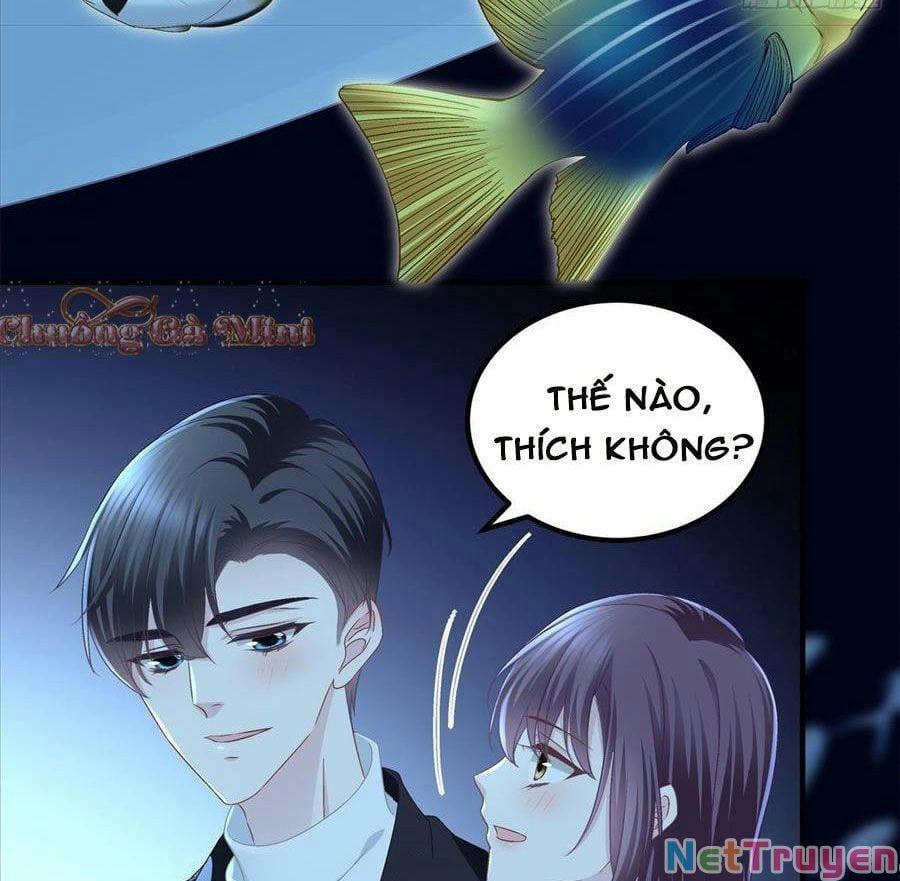 Bảo Bối Tâm Gan Của Lão Đại Xuyên Không Trở Lại Rồi Chapter 64 - Trang 2