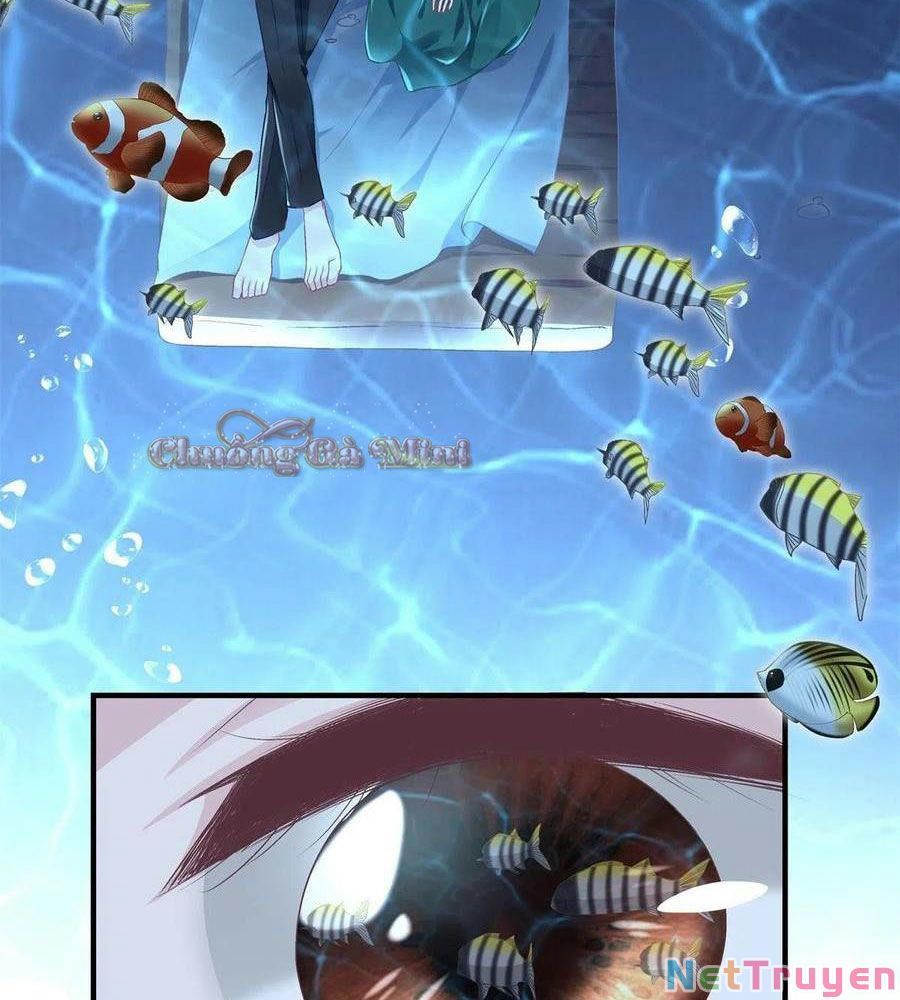 Bảo Bối Tâm Gan Của Lão Đại Xuyên Không Trở Lại Rồi Chapter 64 - Trang 2