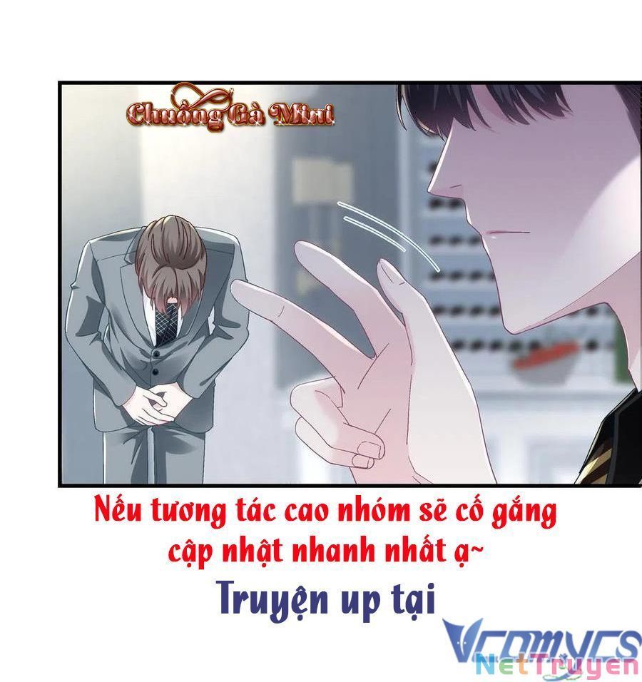 Bảo Bối Tâm Gan Của Lão Đại Xuyên Không Trở Lại Rồi Chapter 81 - Trang 2