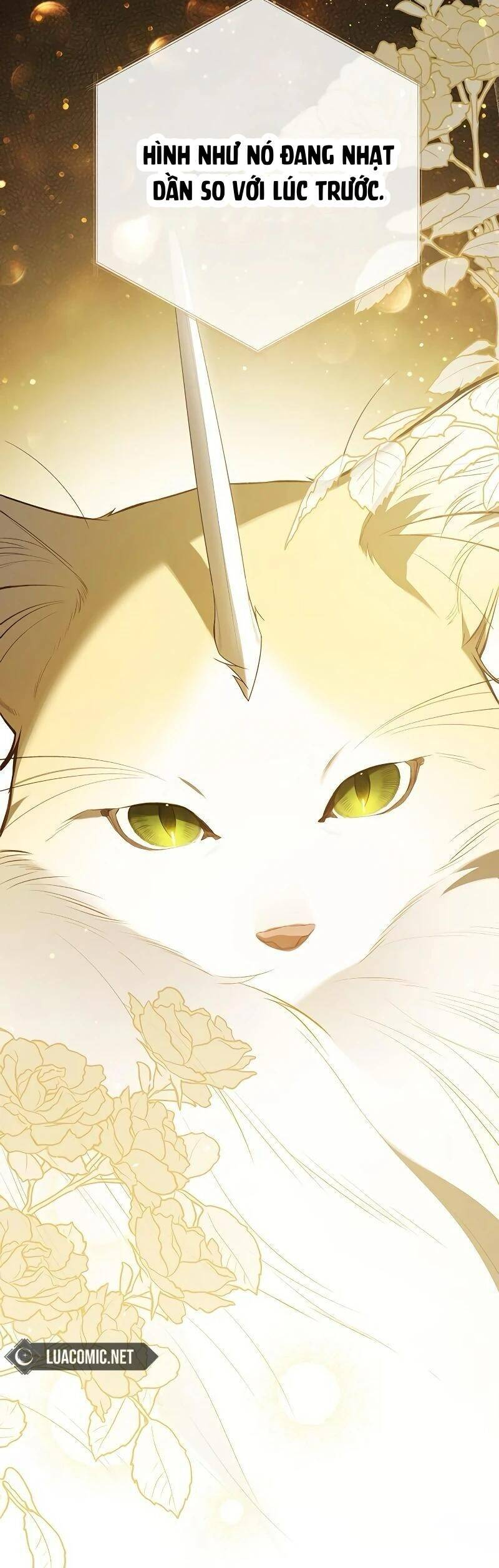 Bạo Chúa Bé Con Chapter 85 - Trang 2