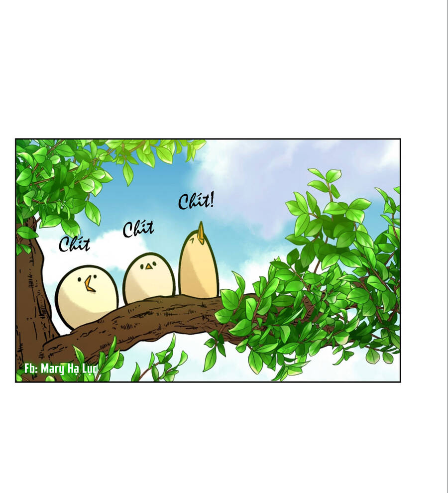 Bảo Vật Của Công Chúa Chapter 15 - Trang 2