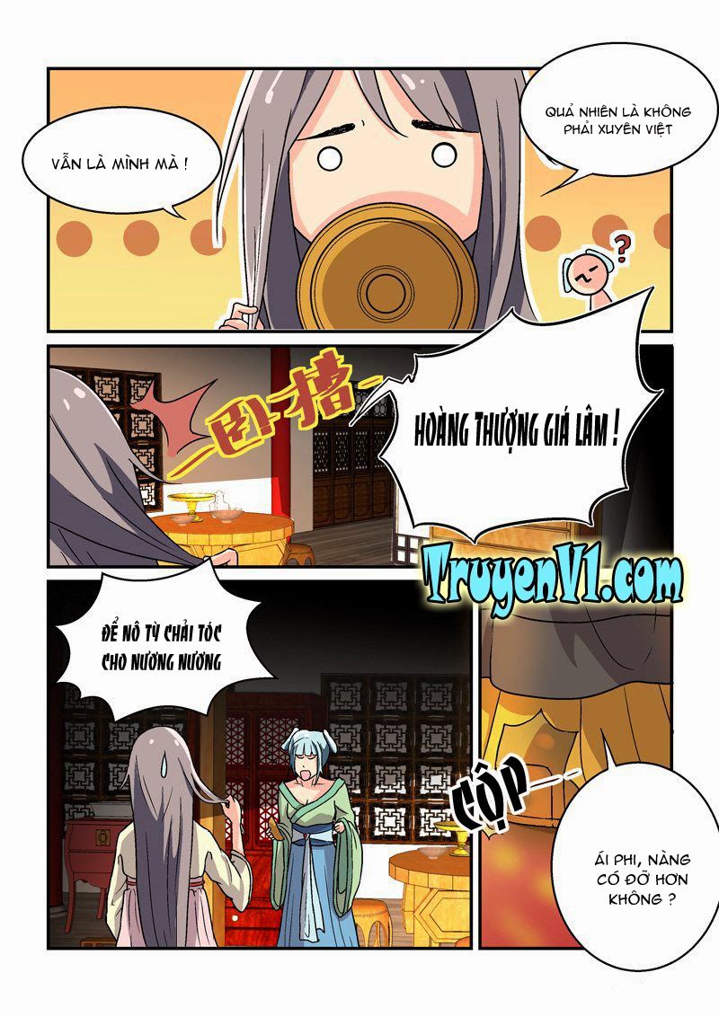 Bắt Cóc Hoàng Đế Về Hiện Đại Chapter 2 - Trang 2