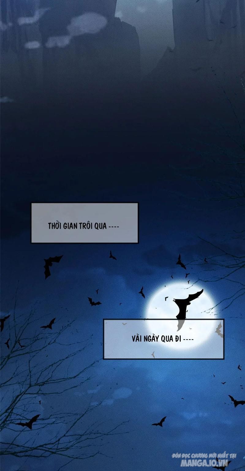 Bắt Đầu Ban Thưởng Một Trăm Triệu Mạng Chapter 1 - Trang 2