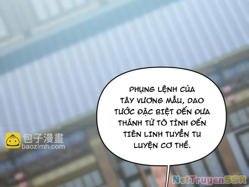 Bắt Đầu Chấn Kinh Nữ Đế Lão Bà, Ta Vô Địch! Chapter 14 - Trang 2