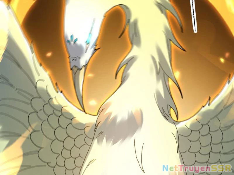 Bắt Đầu Chấn Kinh Nữ Đế Lão Bà, Ta Vô Địch! Chapter 14 - Trang 2