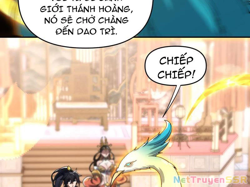 Bắt Đầu Chấn Kinh Nữ Đế Lão Bà, Ta Vô Địch! Chapter 14 - Trang 2