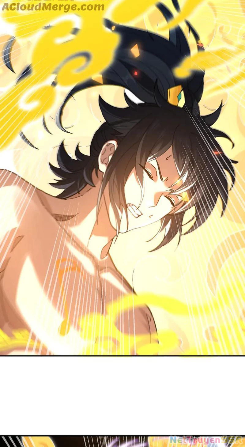 Bắt Đầu Chấn Kinh Nữ Đế Lão Bà, Ta Vô Địch! Chapter 17 - Trang 2