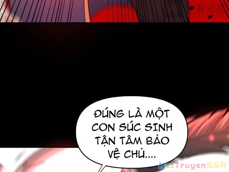 Bắt Đầu Chấn Kinh Nữ Đế Lão Bà, Ta Vô Địch! Chapter 19 - Trang 2