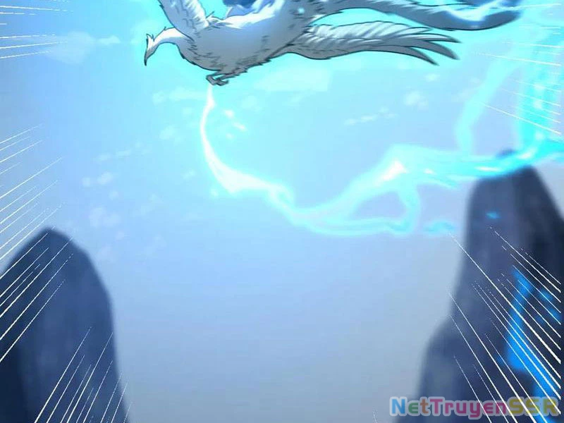 Bắt Đầu Chấn Kinh Nữ Đế Lão Bà, Ta Vô Địch! Chapter 19 - Trang 2