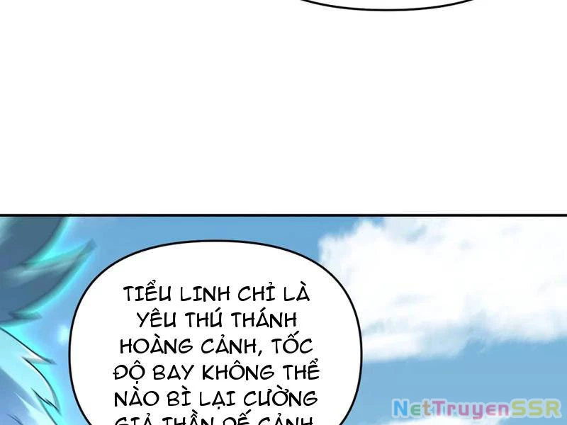 Bắt Đầu Chấn Kinh Nữ Đế Lão Bà, Ta Vô Địch! Chapter 19 - Trang 2