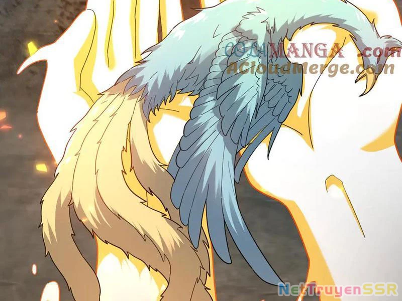 Bắt Đầu Chấn Kinh Nữ Đế Lão Bà, Ta Vô Địch! Chapter 20 - Trang 2