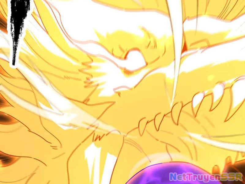 Bắt Đầu Chấn Kinh Nữ Đế Lão Bà, Ta Vô Địch! Chapter 20 - Trang 2