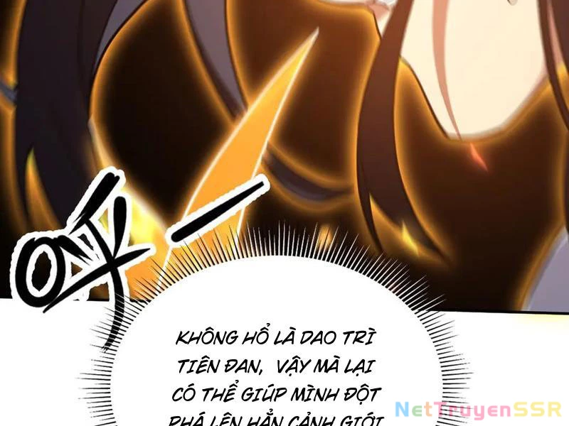 Bắt Đầu Chấn Kinh Nữ Đế Lão Bà, Ta Vô Địch! Chapter 21 - Trang 2