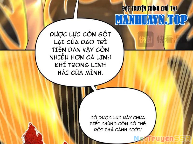 Bắt Đầu Chấn Kinh Nữ Đế Lão Bà, Ta Vô Địch! Chapter 21 - Trang 2