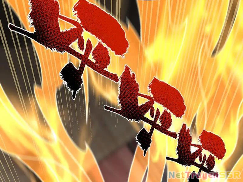 Bắt Đầu Chấn Kinh Nữ Đế Lão Bà, Ta Vô Địch! Chapter 21 - Trang 2