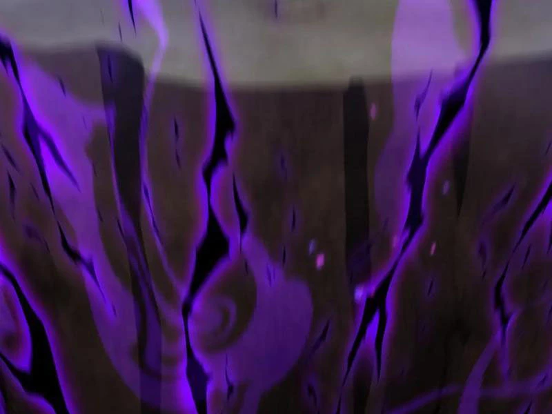 Bắt Đầu Chấn Kinh Nữ Đế Lão Bà, Ta Vô Địch! Chapter 25 - Trang 2