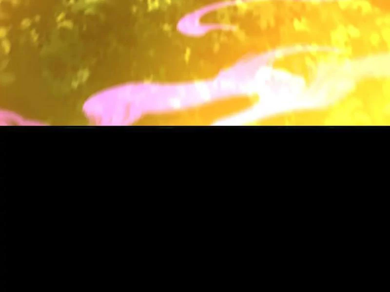 Bắt Đầu Chấn Kinh Nữ Đế Lão Bà, Ta Vô Địch! Chapter 34 - Trang 2