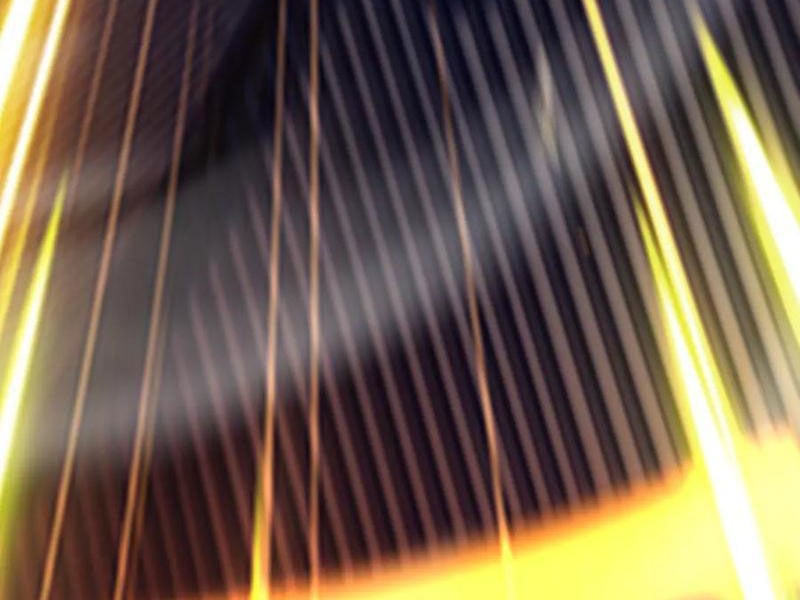 Bắt Đầu Chấn Kinh Nữ Đế Lão Bà, Ta Vô Địch! Chapter 63 - Trang 2