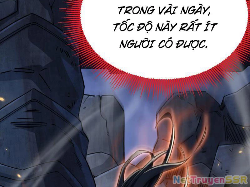 Bắt Đầu Chấn Kinh Nữ Đế Lão Bà, Ta Vô Địch! Chapter 8 - Trang 2