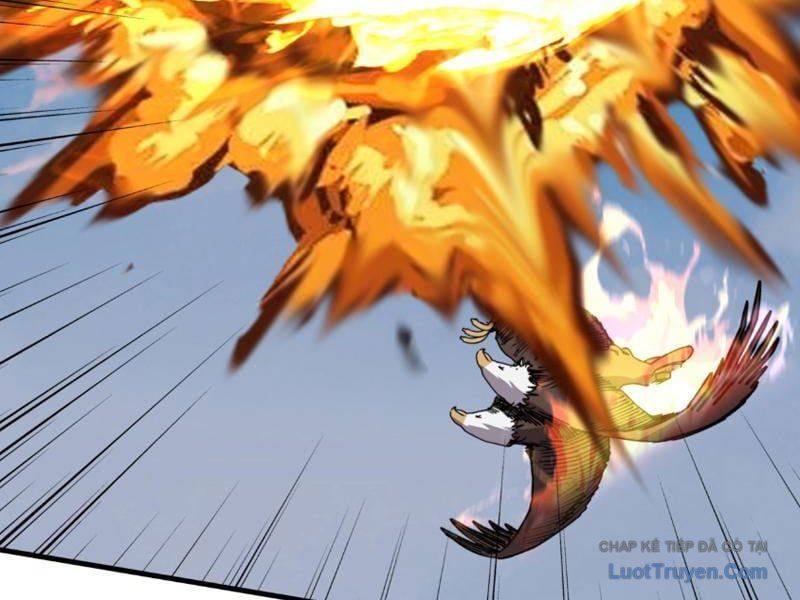 Bắt Đầu Chuyển Chức Tài Thần, Ta Chuyển Hóa Triệu Vạn Thần Sủng Chapter 59 - Trang 2