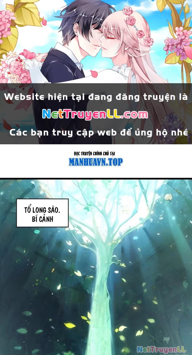 Bắt Đầu Đánh Dấu Hoang Cổ Thánh Thể Chapter 65 - Trang 2
