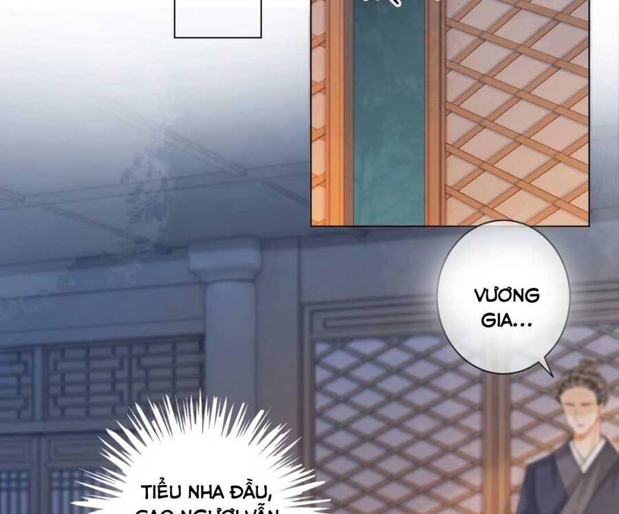 Bắt Đầu Hủy Hôn Để Công Lược Vương Gia Chapter 8 - Trang 2