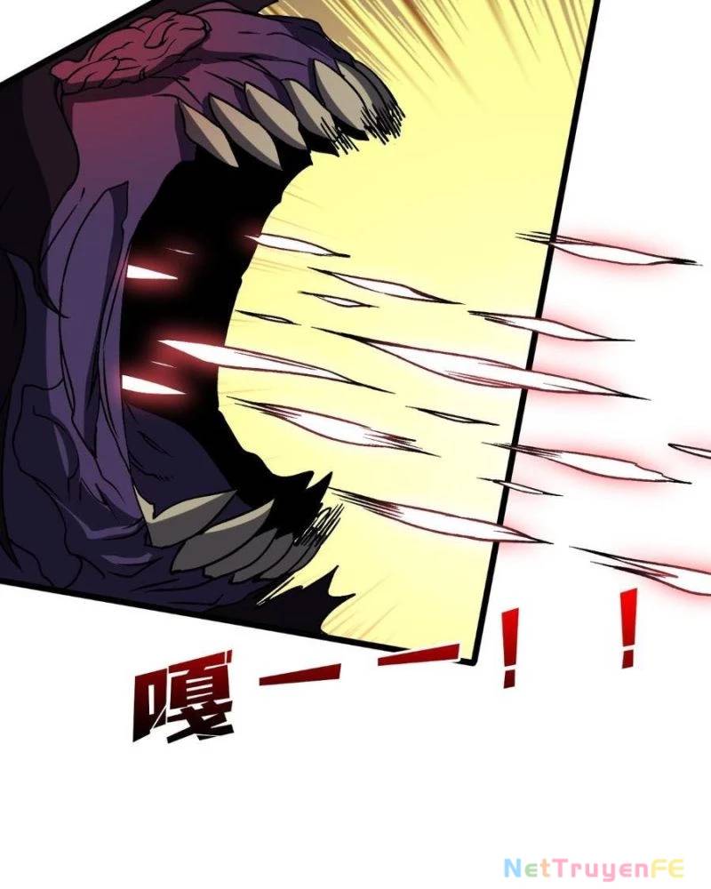 Bắt Đầu Kế Nhiệm Boss Hắc Long, Ta Vô Địch Chapter 15 - Trang 2