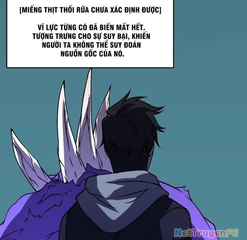 Bắt Đầu Kế Nhiệm Boss Hắc Long, Ta Vô Địch Chapter 15 - Trang 2