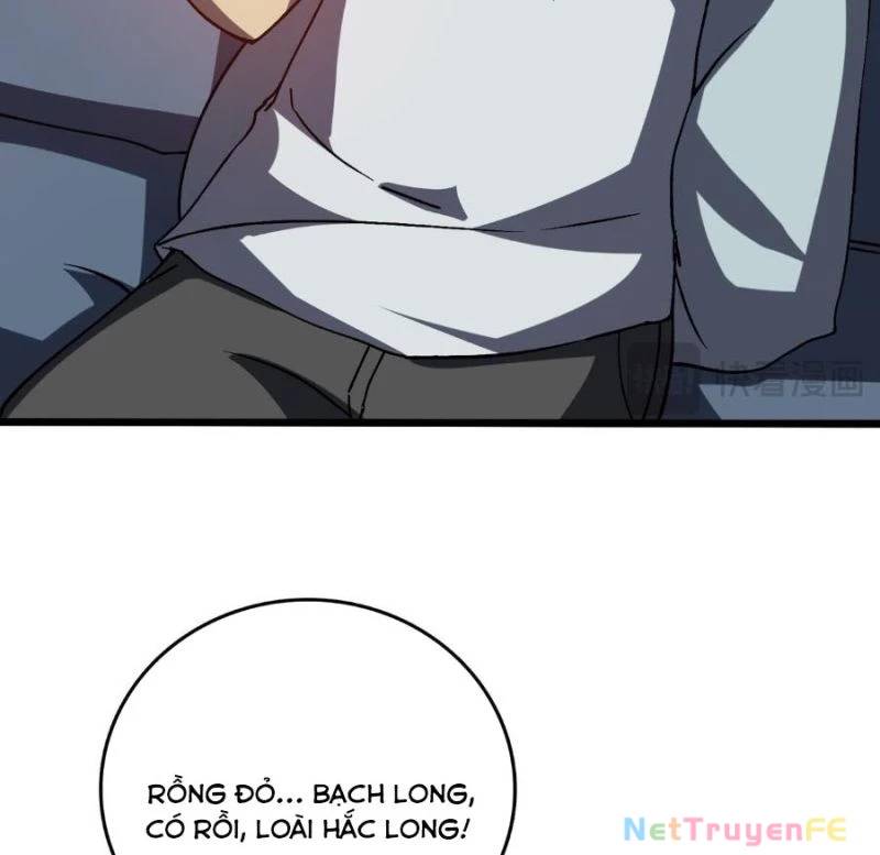 Bắt Đầu Kế Nhiệm Boss Hắc Long, Ta Vô Địch Chapter 16 - Trang 2