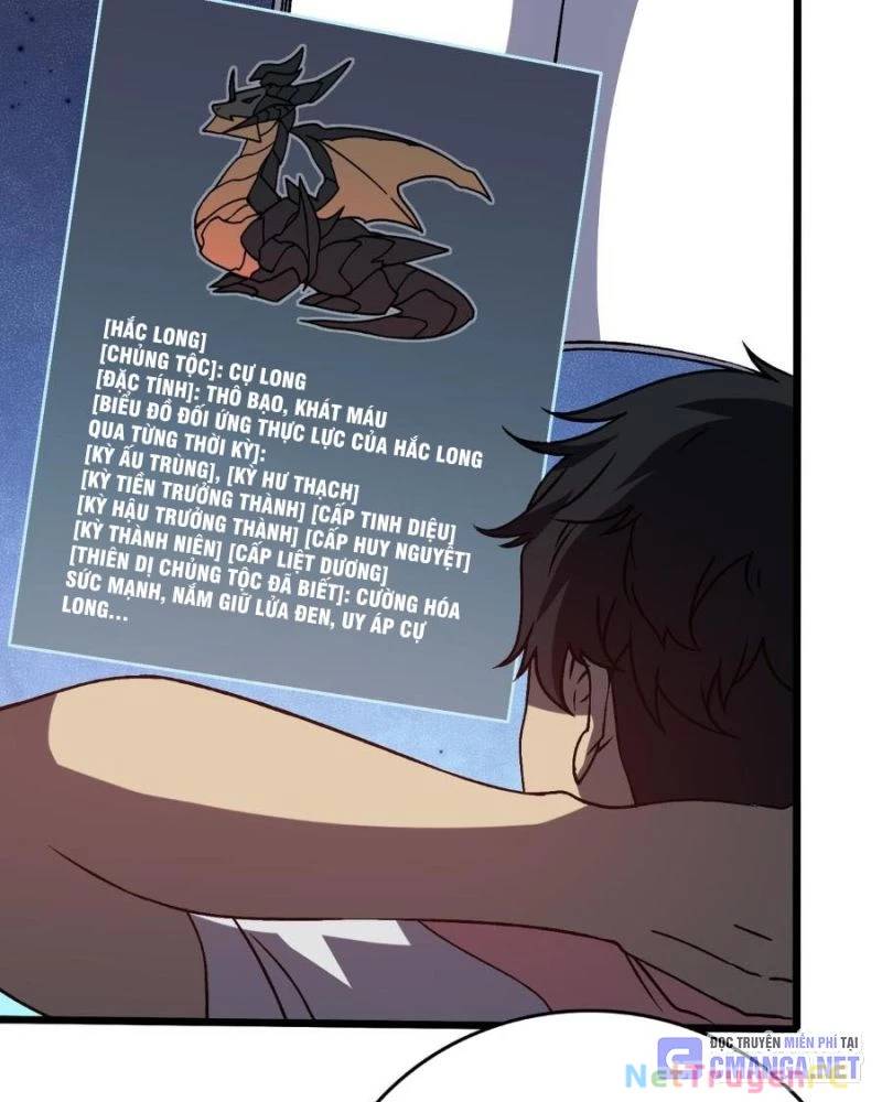 Bắt Đầu Kế Nhiệm Boss Hắc Long, Ta Vô Địch Chapter 16 - Trang 2