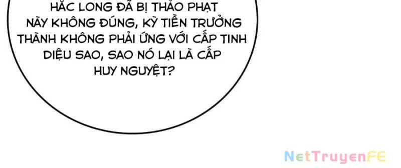 Bắt Đầu Kế Nhiệm Boss Hắc Long, Ta Vô Địch Chapter 16 - Trang 2