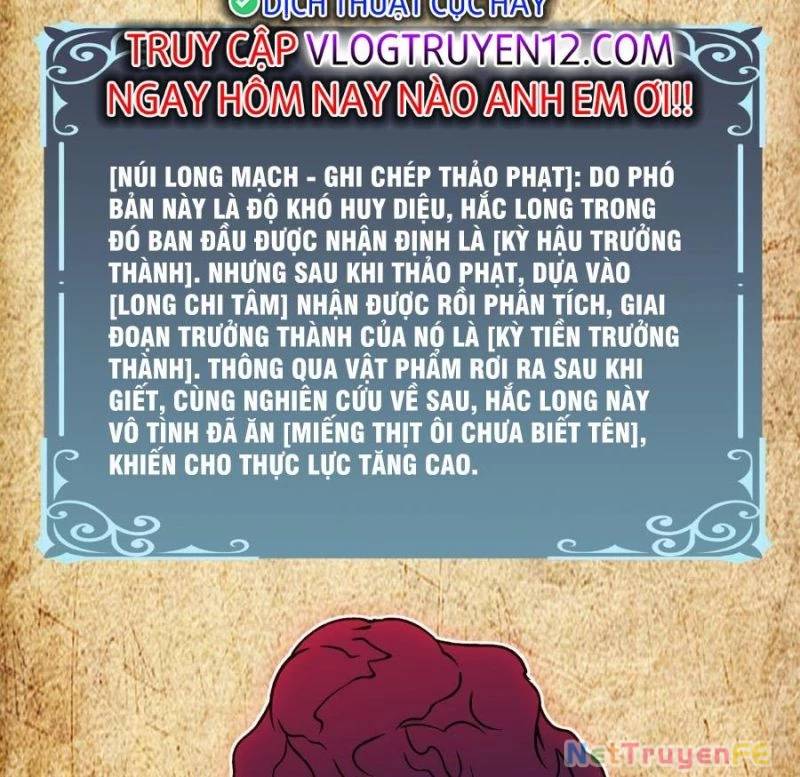 Bắt Đầu Kế Nhiệm Boss Hắc Long, Ta Vô Địch Chapter 16 - Trang 2